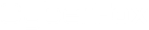 CyberFox – Agencja Marketingowa